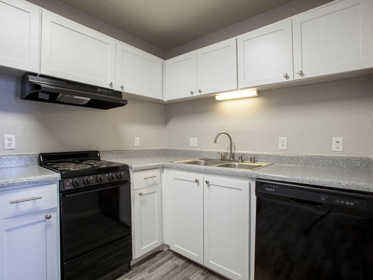 Kitchen at Cinnamon Tree Apartments in Albuquerque, MN